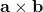 \mathbf{a \times b}